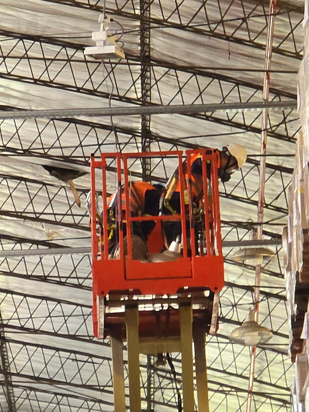 Iluminación y relamping 15